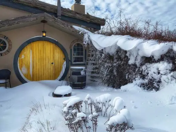 A house with snow on the ground and bushes