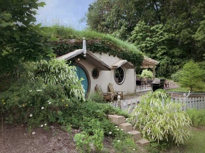 A house with grass growing on the roof.